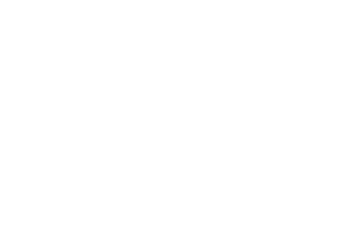Camino Real
